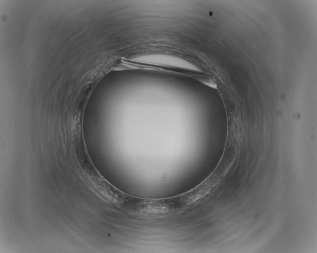 X0000080770601200701021123