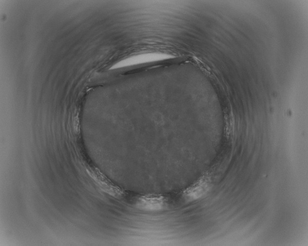 X0000080770606200701021123