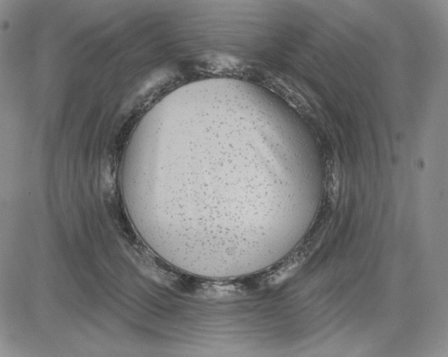 X0000080770607200701021123