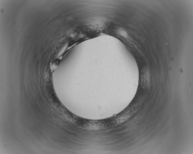 X0000080770608200701021123