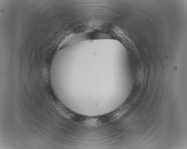 X0000080770609200701021123