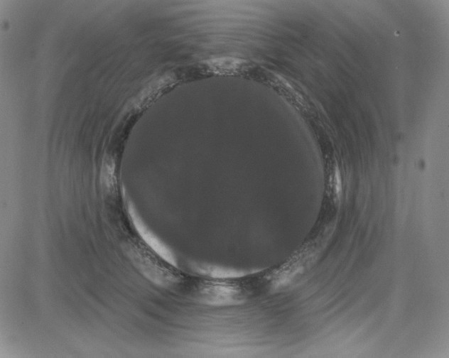 X0000080770610200701021123