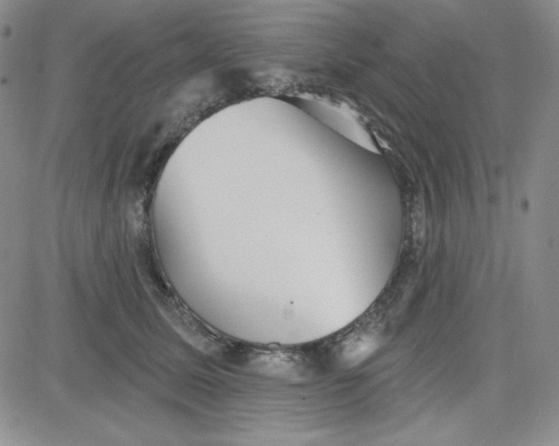 X0000080770611200701021123