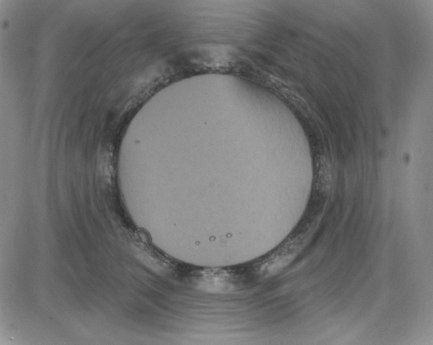 X0000080770612200701021123