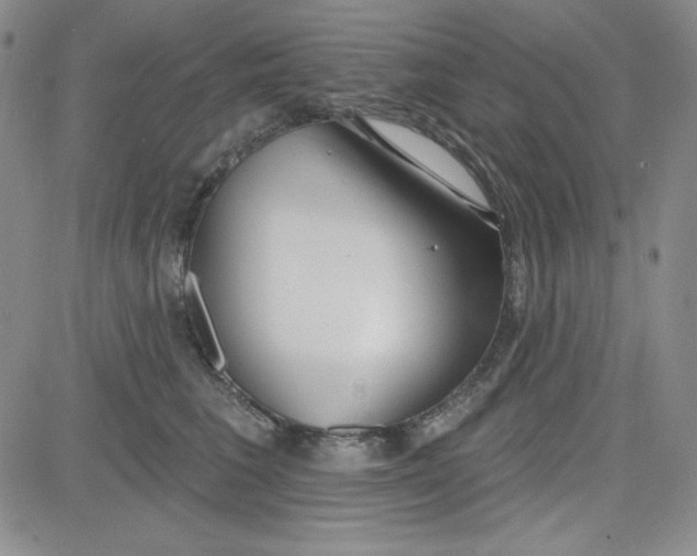 X0000080770613200701021123