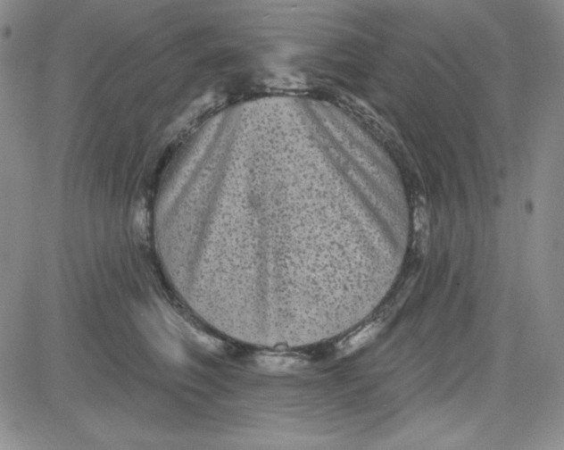 X0000080770614200701021123