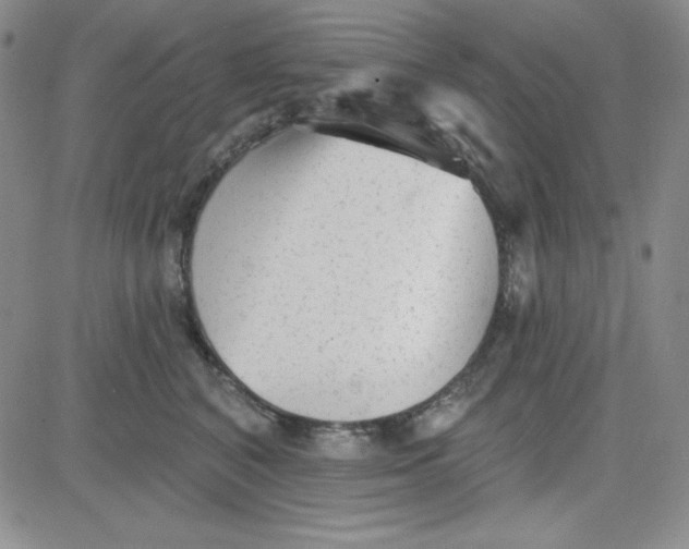 X0000080770616200701021123