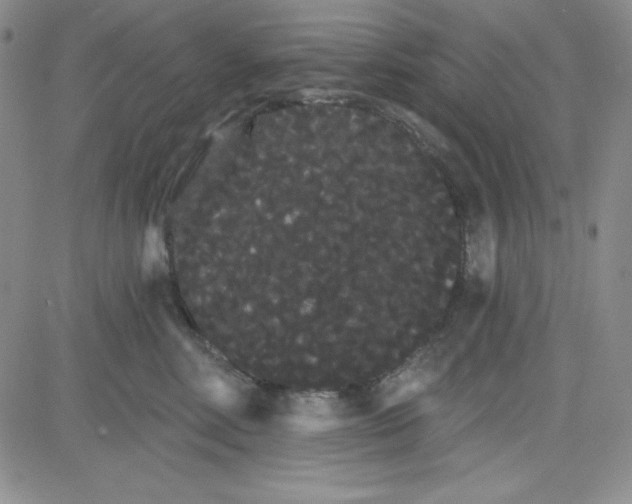 X0000080770618200701021123