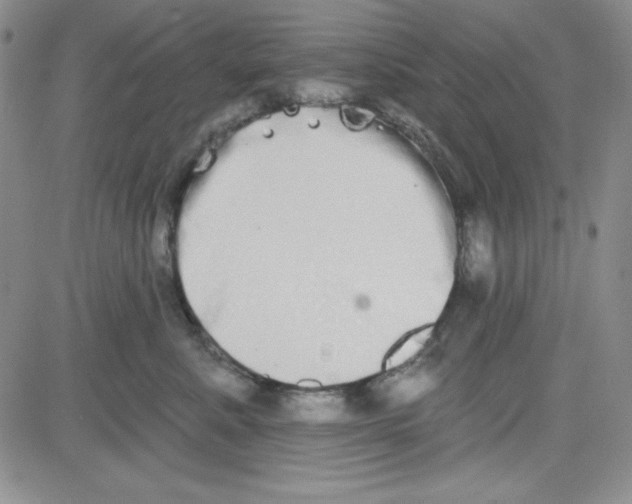 X0000080770619200701021123