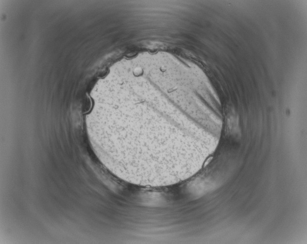 X0000080770620200701021123