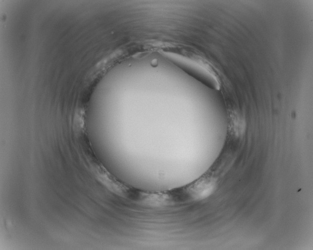 X0000080770621200701021123