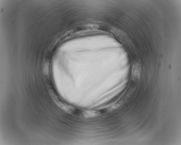 X0000080770623200701021123