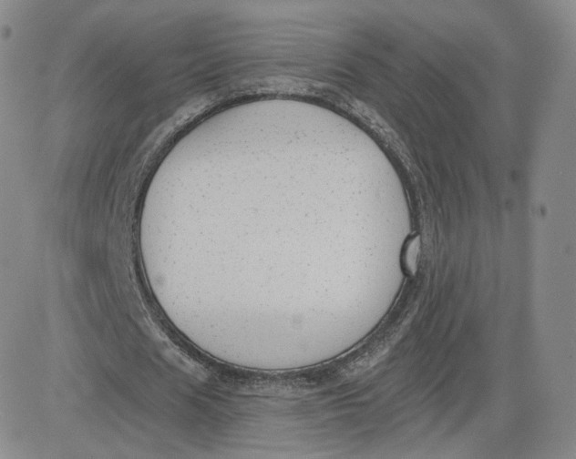 X0000080770625200701021122