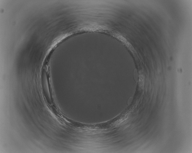 X0000080770626200701021122