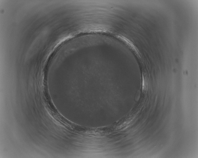 X0000080770627200701021122