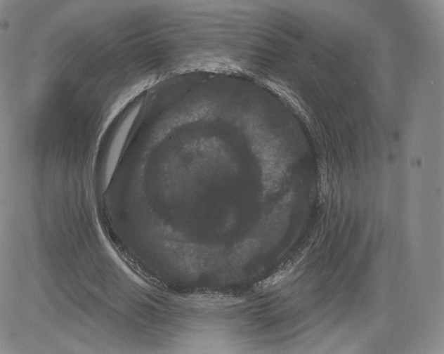 X0000080770630200701021122