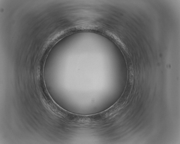 X0000080770631200701021122