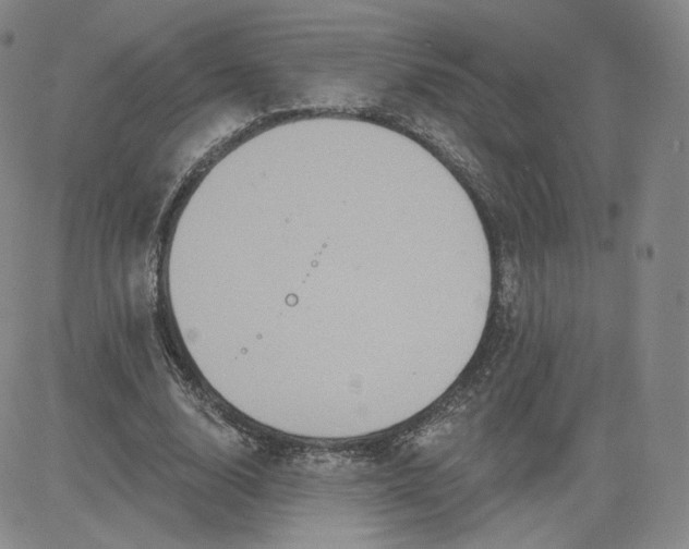 X0000080770632200701021122