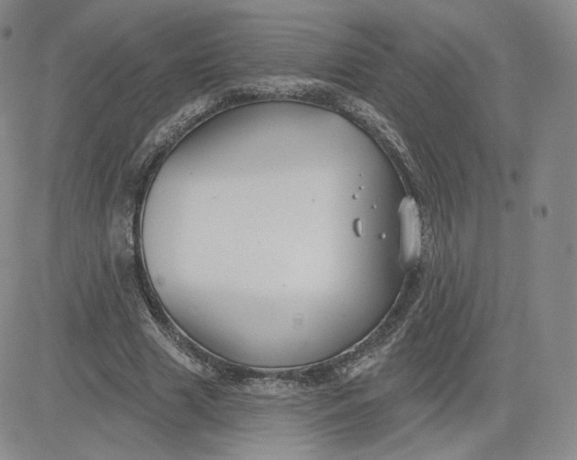 X0000080770633200701021122