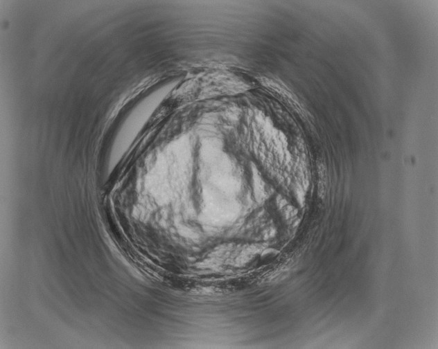 X0000080770634200701021122