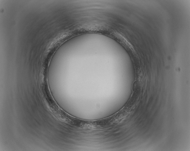 X0000080770635200701021122