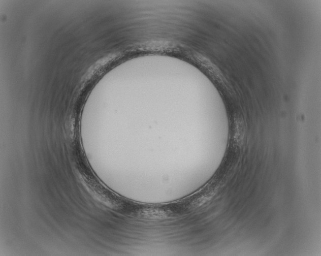 X0000080770636200701021122