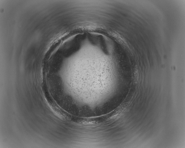 X0000080770638200701021122