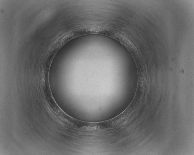 X0000080770639200701021122