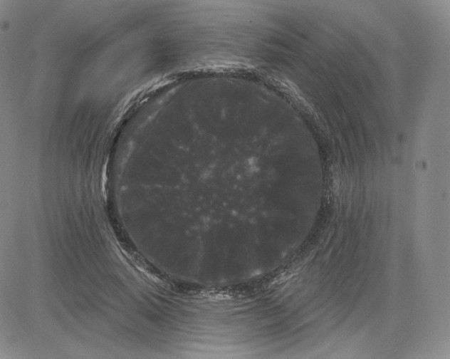 X0000080770640200701021122