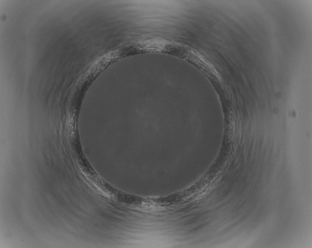 X0000080770641200701021122