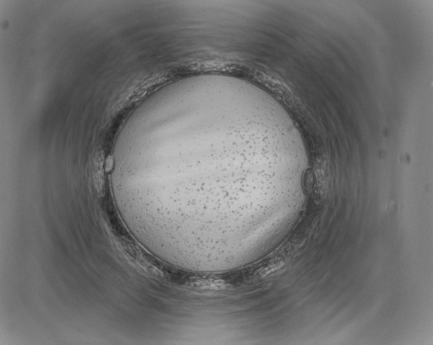 X0000080770642200701021122