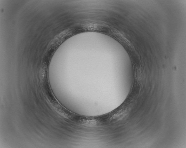 X0000080770645200701021122