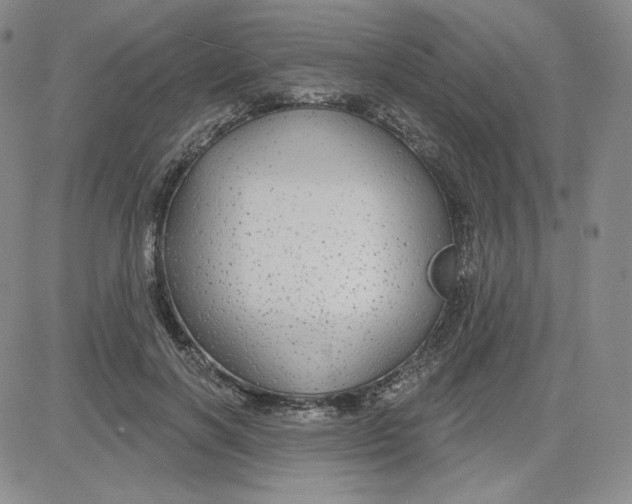 X0000080770646200701021122