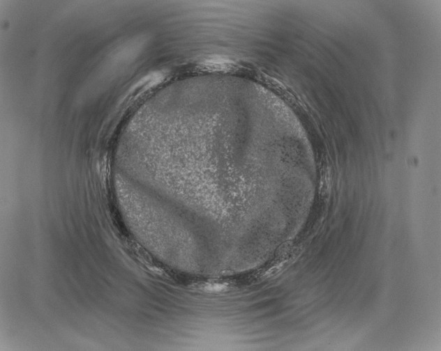 X0000080770647200701021122