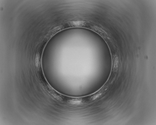 X0000080770651200701021122