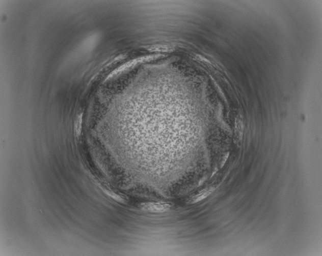 X0000080770652200701021122