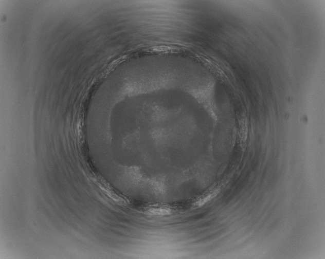 X0000080770653200701021122