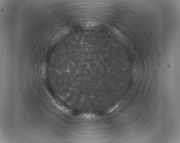 X0000080770654200701021122