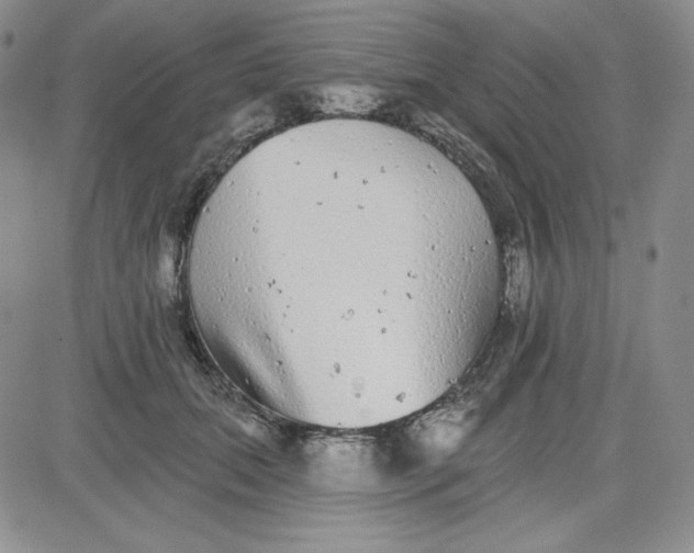 X0000080770655200701021122