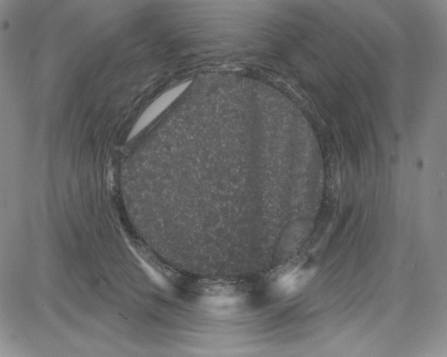 X0000080770658200701021122