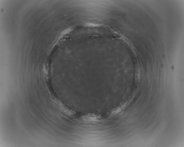 X0000080770661200701021122