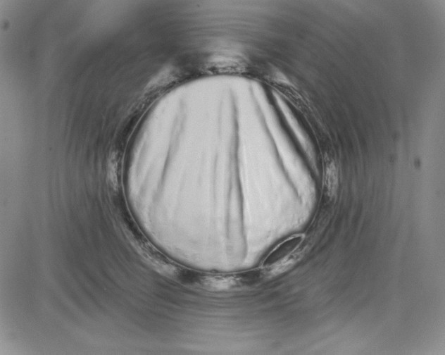 X0000080770662200701021122