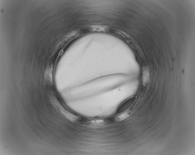 X0000080770666200701021123