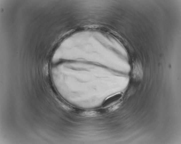 X0000080770668200701021123