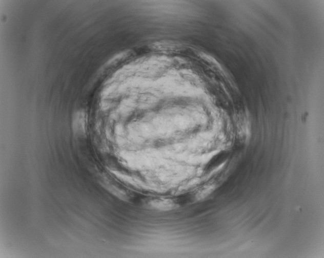 X0000080770669200701021123