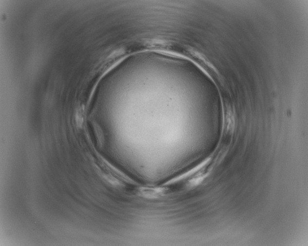 X0000080770671200701021123