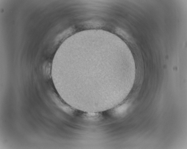 X0000080770672200701021123