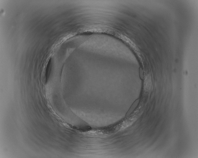 X0000080770673200701021122