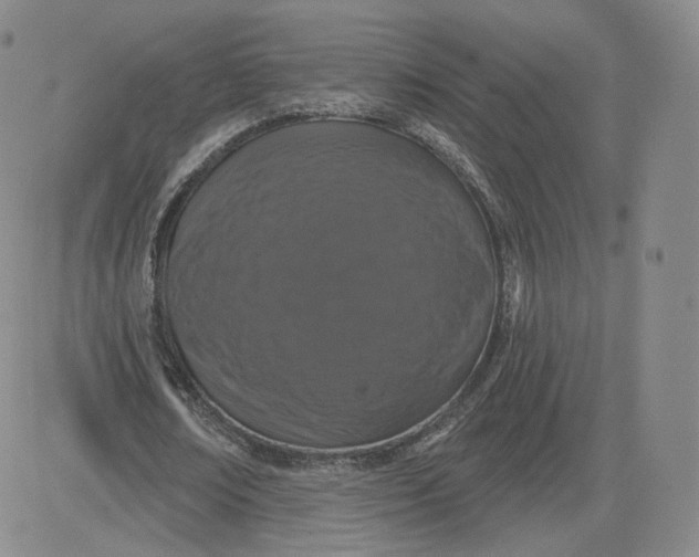 X0000080770674200701021122