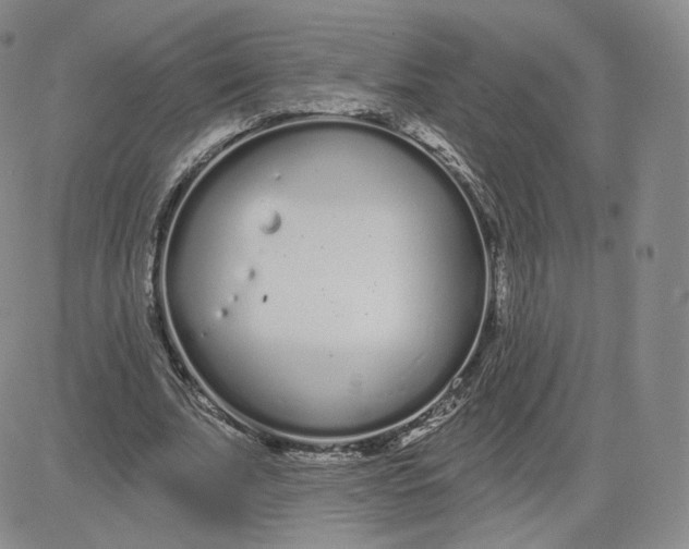 X0000080770679200701021122